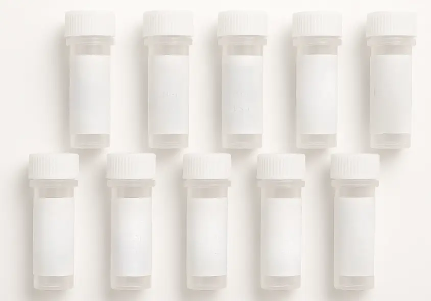 BRD3 293T Cell Transient Overexpression Lysate(Denatured)