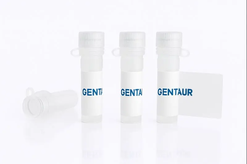 BMPR-II, Human (HEK293, His-Fc)