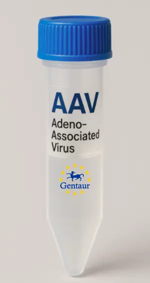 BRE AAV Vector (Mouse) (CMV)