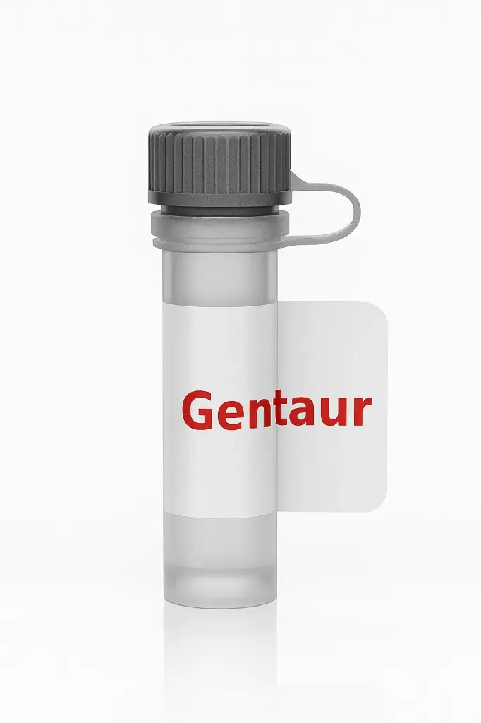 Recombinant COVID-19 S Protein (His)